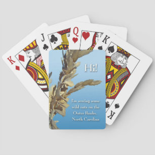 De buiten Wilde Haver van Noord-Carolina van Speelkaarten
