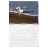 De buitenbanken kalender (Mar 2027)