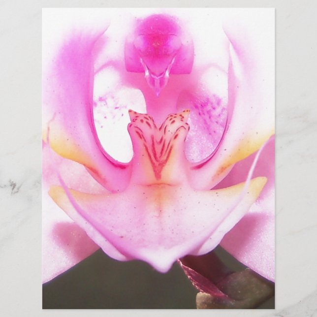 de buitenkant van de binnenkant van een orchidee (Voorkant)