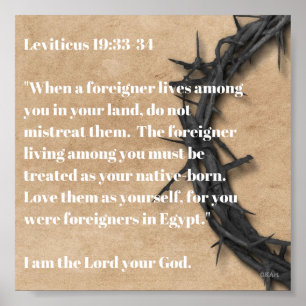 De buitenlander poster