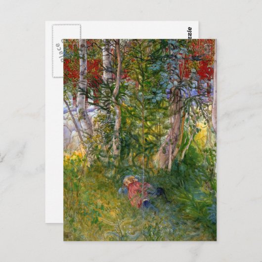 De buitennap briefkaart (Voorkant / Achterkant)