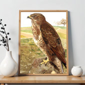 De Buizerd Poster