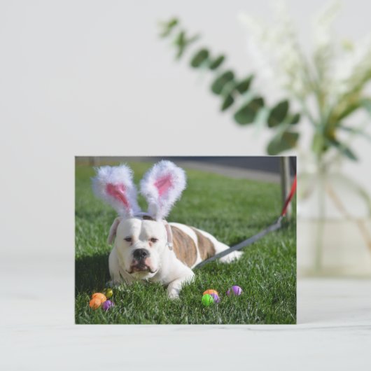 De Buldog van de Vallei van Pasen Feestdagenkaart (Staand voorkant)