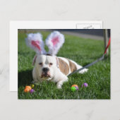 De Buldog van de Vallei van Pasen Feestdagenkaart (Voorkant / Achterkant)