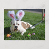 De Buldog van de Vallei van Pasen Feestdagenkaart (Voorkant)