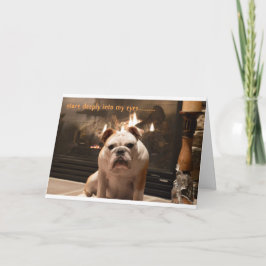 De buldog wordt goed Kaart