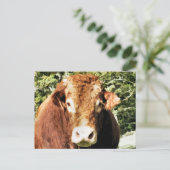 DE BULL BRIEFKAART (Staand voorkant)