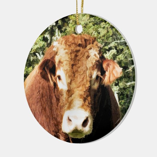 DE BULL KERAMISCH ORNAMENT (Links)