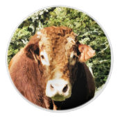 DE BULL KERAMISCHE KNOP (Voorkant)