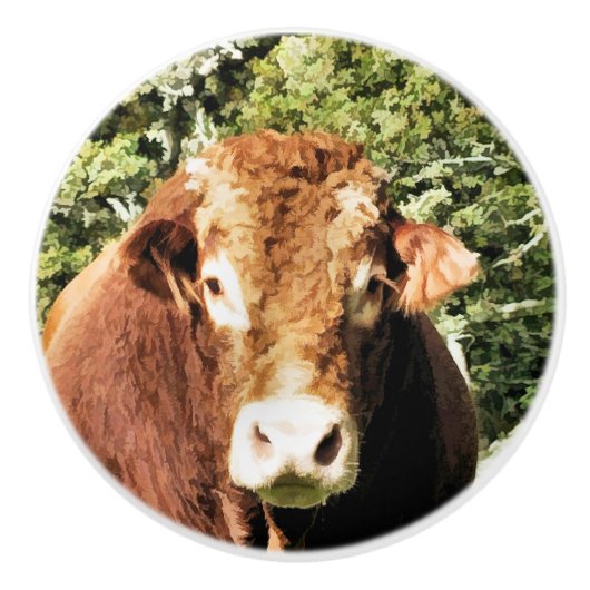 DE BULL KERAMISCHE KNOP (Voorkant)