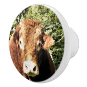 DE BULL KERAMISCHE KNOP (Rechts)