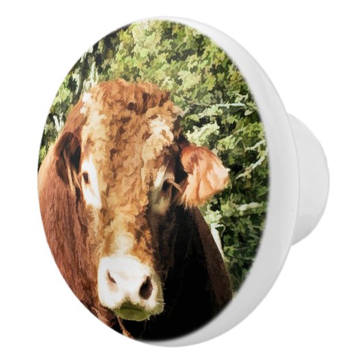 DE BULL KERAMISCHE KNOP (Rechts)