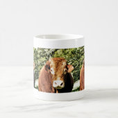 DE BULL KOFFIEMOK (Center)