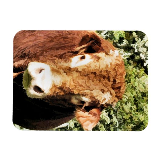 DE BULL MAGNEET (Horizontaal)