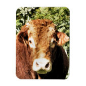 DE BULL MAGNEET (Verticaal)