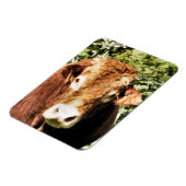 DE BULL MAGNEET (Linkerzijde)