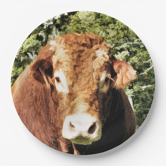 DE BULL PAPIEREN BORDJE (Voorkant)