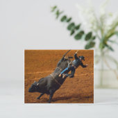 De bull Rider Briefkaart (Staand voorkant)