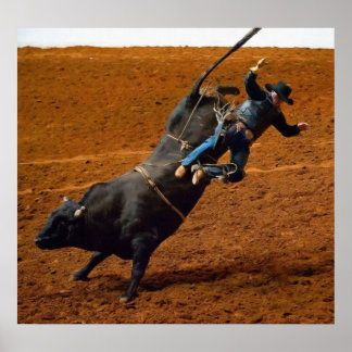 De bull Rider Poster