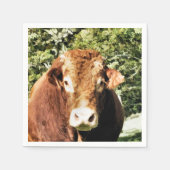 DE BULL SERVETTEN (Voorkant)