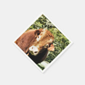 DE BULL SERVETTEN (Hoek)