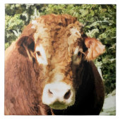 DE BULL TEGELTJE (Voorkant)