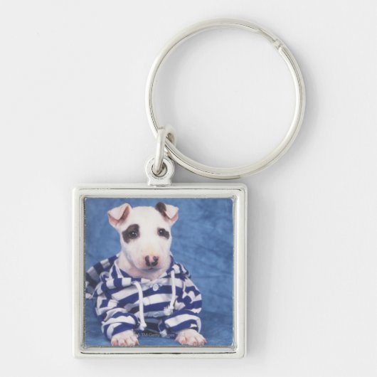 De bull Terrier is een hondenras in de Sleutelhanger (Voorkant)