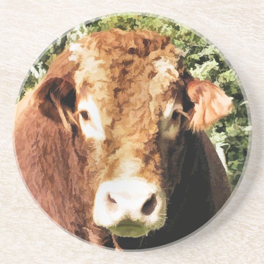 DE BULL ZANDSTEEN ONDERZETTER (Voorkant)