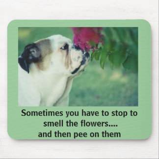 De Bulldog en het Roos Muismat