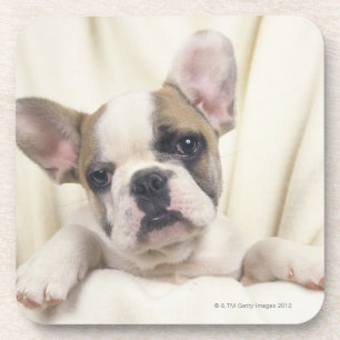 De Bulldog, vaak de Engelse Bulldog, 2 Bier Onderzetter
