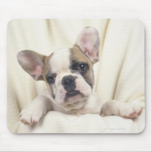De Bulldog, vaak de Engelse Bulldog, 2 Muismat