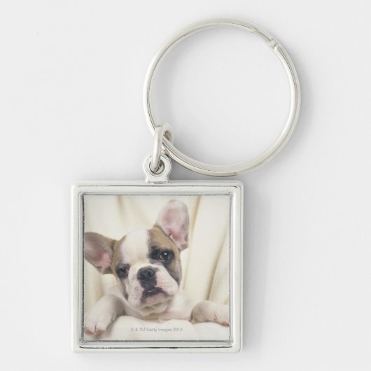 De Bulldog, vaak de Engelse Bulldog, 2 Sleutelhanger (Voorkant)