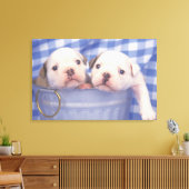 De Bulldog, vaak de Engelse Bulldog genoemd, Canvas Afdruk (Insitu (Woonkamer))