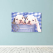 De Bulldog, vaak de Engelse Bulldog genoemd, Canvas Afdruk (Insitu (Houten vloer))