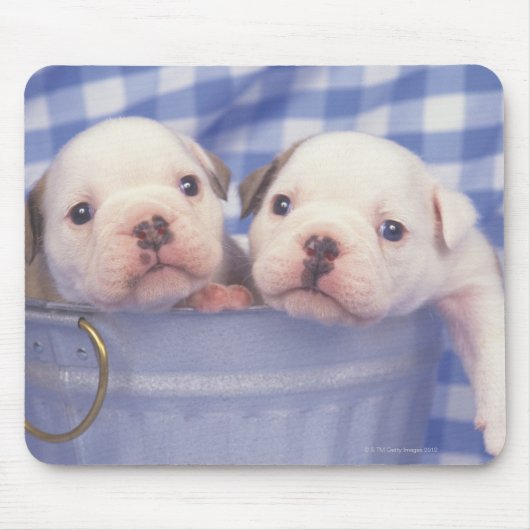 De Bulldog, vaak de Engelse Bulldog genoemd, Muismat (Voorkant)