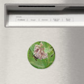 De Bumble Bee op de Melkroos Magneet (Insitu (Vaatwasser))