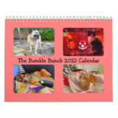 De bunch 2023-agenda kalender (Hoes)