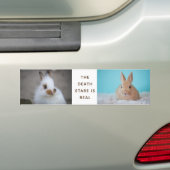 De 'BUNNY Death Stare' is echt! Eigen foto toevoeg Bumpersticker (Op auto)