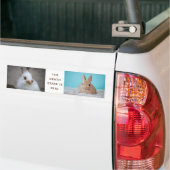 De 'BUNNY Death Stare' is echt! Eigen foto toevoeg Bumpersticker (Op Truck)