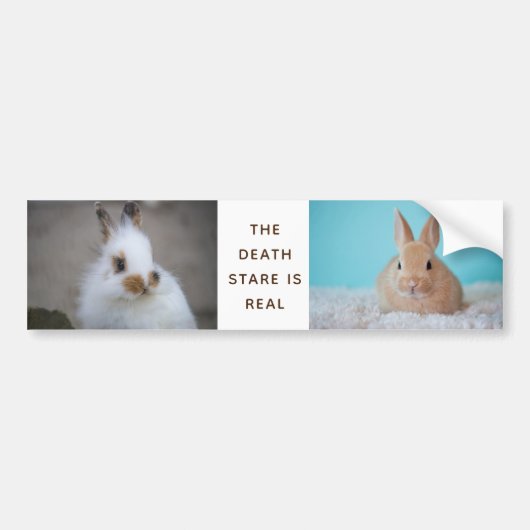 De 'BUNNY Death Stare' is echt! Eigen foto toevoeg Bumpersticker (Voorkant)