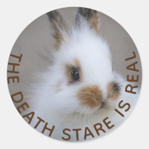 De 'BUNNY Death Stare' is echt! Eigen foto toevoeg Ronde Sticker