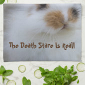 De 'BUNNY Death Stare' is echt! Eigen foto toevoeg Theedoek (Gevouwen)