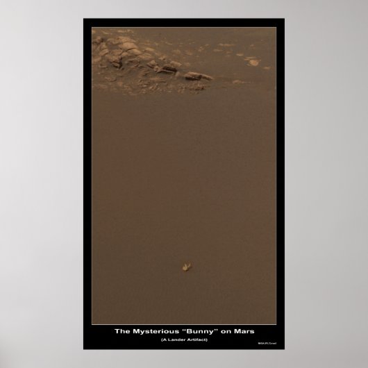 De Bunny op Mars â€"Wat is het? Poster (Voorkant)