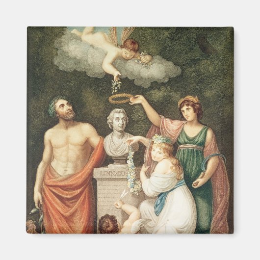 De buste van Linnaeus eren Magneet (Voorkant)