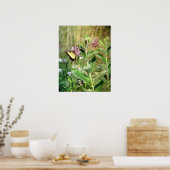De Butterfly en Milkweed Poster (Keuken)
