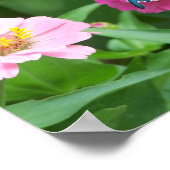 De Butterfly One van Smith Poster (Hoek)