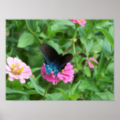 De Butterfly One van Smith Poster (Voorkant)