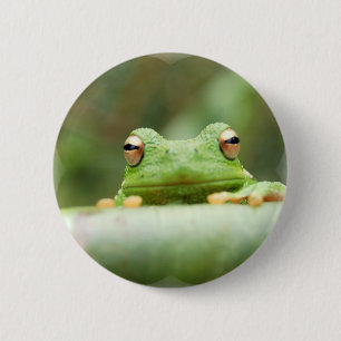 De Button van de Ogen van de kikker