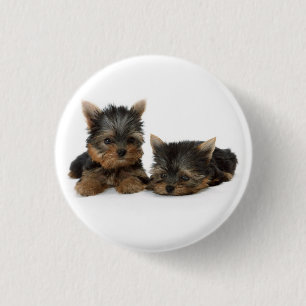 De Button van het "puppy" van Yorkshire Terrier