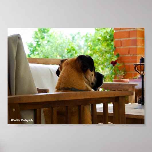 De Buurtwacht Poster (Voorkant)
